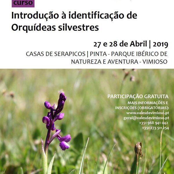 cartaz_orquideas