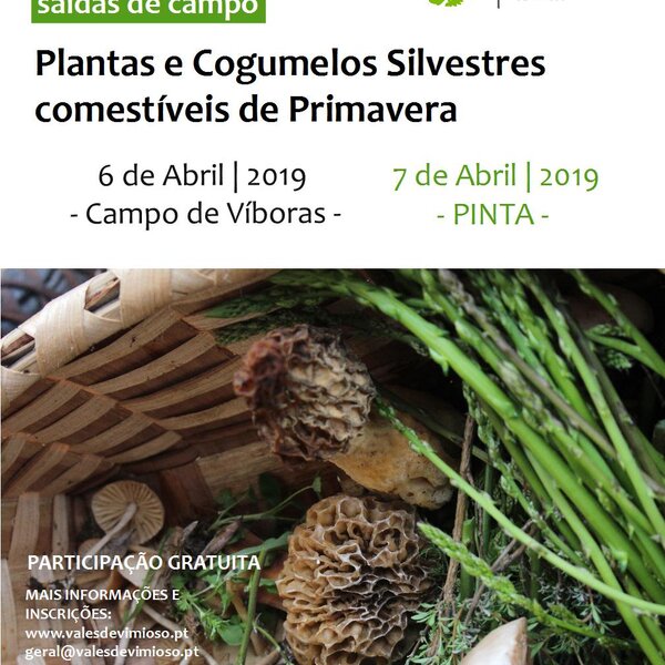 cartaz_cogumelos_plantas_primavera