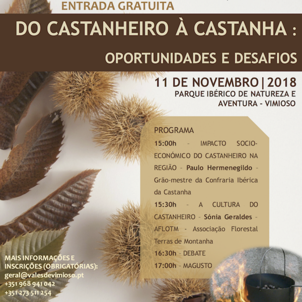 cartaz_castanheiro_2