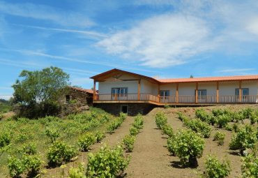 Casa da Vinha-Carrasco de Cima