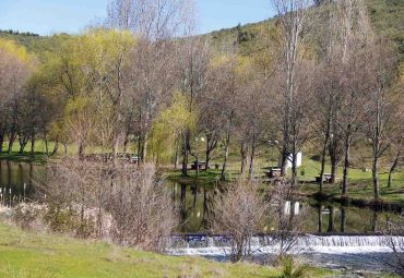 Parque Merendas Uva